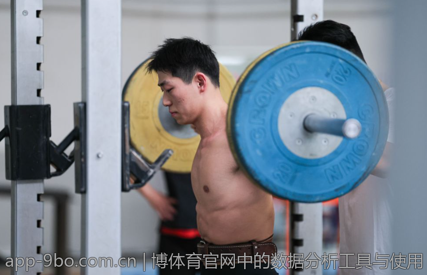 博体育官网中的数据分析工具与使用